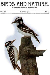 Birds and Nature Vol. 11 No. 3 [March 1902]: Illustrated by Color Photography