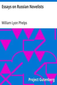 Essays on Russian Novelists
