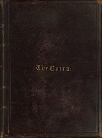 Cover of A Gathering of Stones (Daw Book Collectors No. 776)