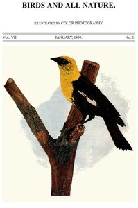 Birds and All Nature, Vol. 7, No. 1, January 1900: Illustrated by Color Photography
