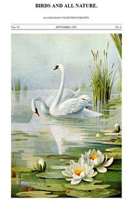Birds and All Nature, Vol. 6, No. 2, September 1899: Illustrated by Color Photography
