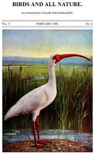Birds and All Nature, Vol. 5, No. 2, February 1899: Illustrated by Color Photography