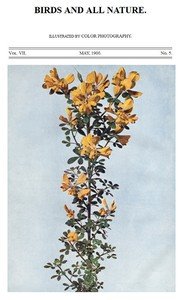 Birds and All Nature, Vol. 7, No. 5, May 1900: Illustrated by Color Photography