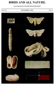 Birds and All Nature, Vol. 4, No. 6, December 1898: Illustrated by Color Photography