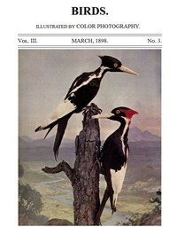 Birds and All Nature, Vol. 3, No. 3, March 1898: Illustrated by Color Photography