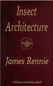 Insect Architecture