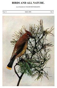 Birds and All Nature, Vol. 5, No. 5, May 1899: Illustrated by Color Photography