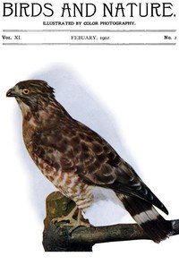 Birds and Nature Vol. 11 No. 2 [February 1902]: Illustrated by Color Photography