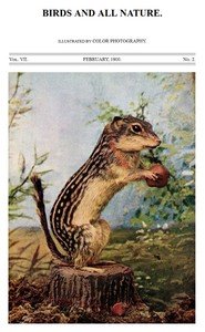Birds and All Nature, Vol 7, No. 2, February 1900: Illustrated by Color Photography