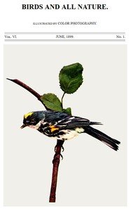 Birds and All Nature, Vol. 6, No. 1, June 1899: Illustrated by Color Photography