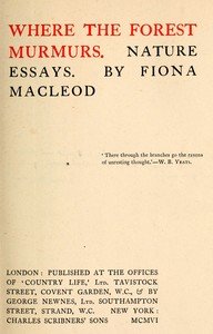 Where the forest murmurs : $b Nature essays
