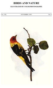 Birds and Nature, Vol. 08, No. 4, November 1900: Illustrated by Color Photography