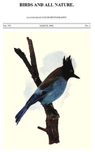 Birds and All Nature, Vol 7, No. 3, March 1900: Illustrated by Color Photography