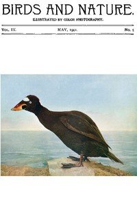 Birds and Nature Vol. 09 No. 5 [May 1901]: Illustrated by Color Photography