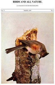 Birds and All Nature, Vol. 5, No. 3, March 1899: Illustrated by Color Photography
