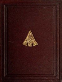 The Ancient Stone Implements, Weapons and Ornaments, of Great Britain: Second Edition, Revised